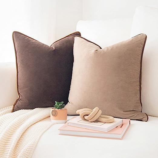 Decorative Throw Pillow Covers Cushion Cases, Set of 2 Soft Velvet Modern Double-Sided Designs