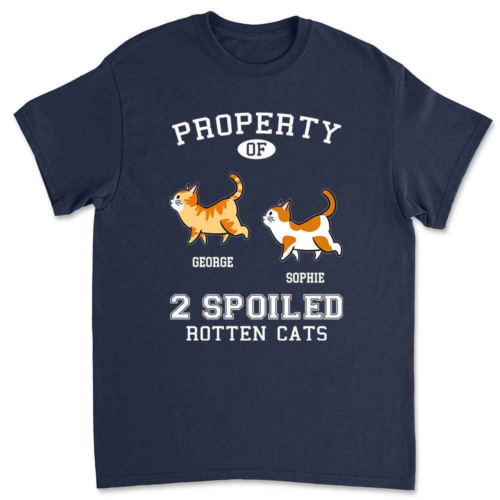 Property Of Rotten Cats - Personalized Custom Premium T-shirt