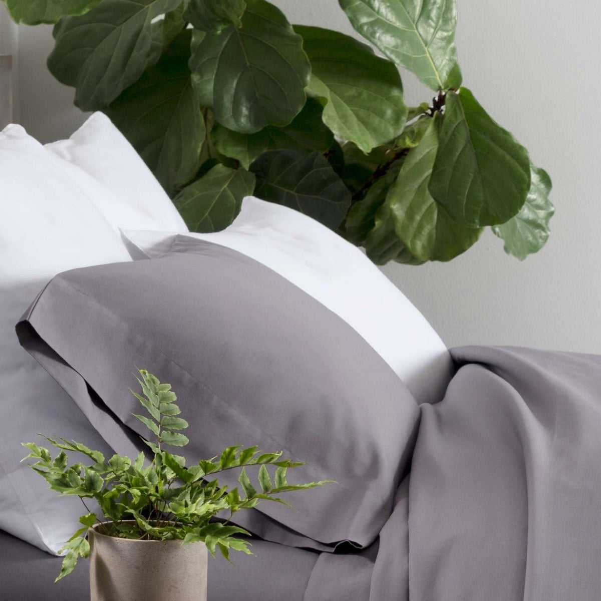 Essential Percale White Sham
