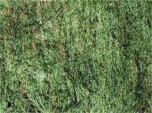 Cover / Veils 2' x 3' - GhillieSuitShop