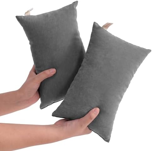 NTBAY 2 Pack Tiny Pillows, 11"x7" Microfiber Mini Pillows for Baby, Travel, Pets, Soft Machine Washable Small Pillows with Excellent Resilience for Neck, Wrist, Lumbar and Knee Support, Dark Grey