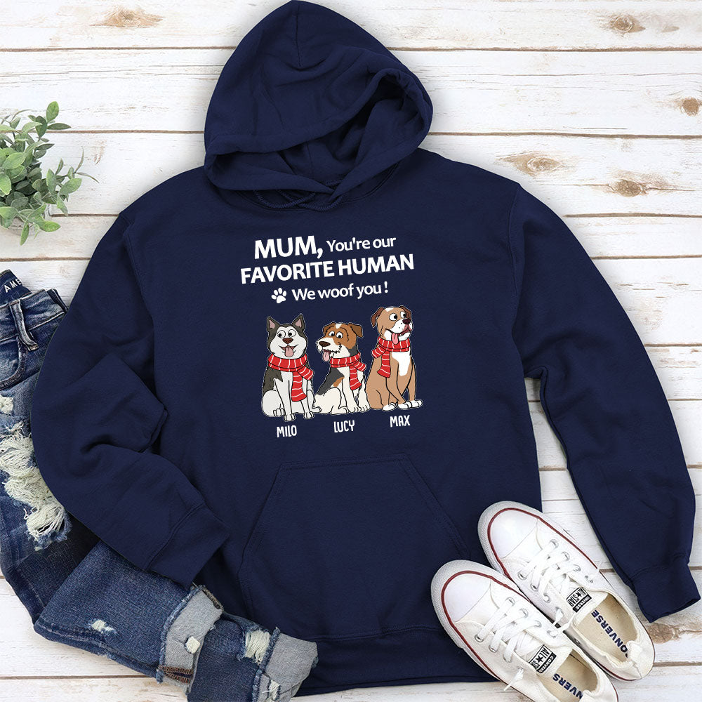 To My Favorite Human - Personalized Custom Hoodie