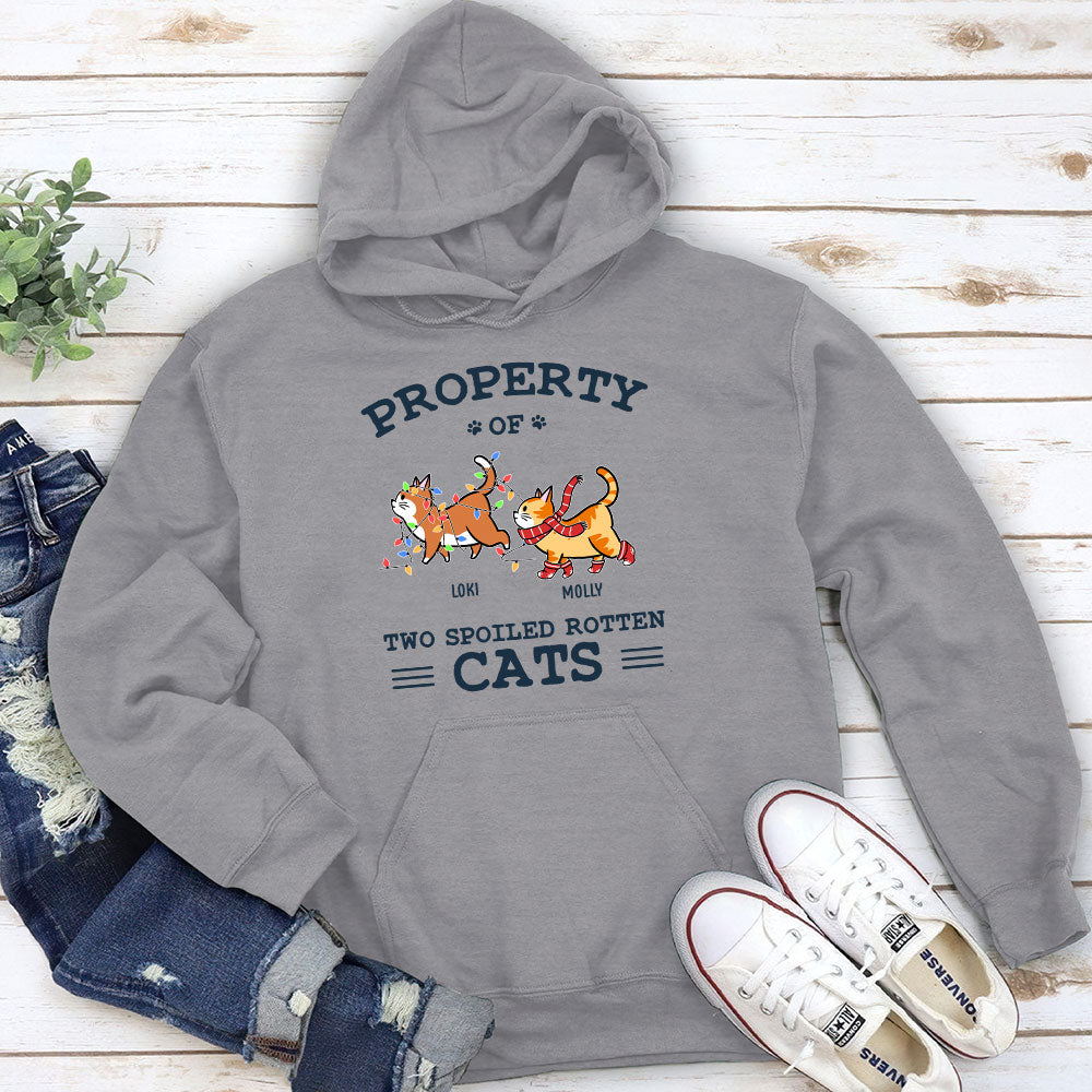 The Spoiled Rotten Cats – Personalized Custom Hoodie