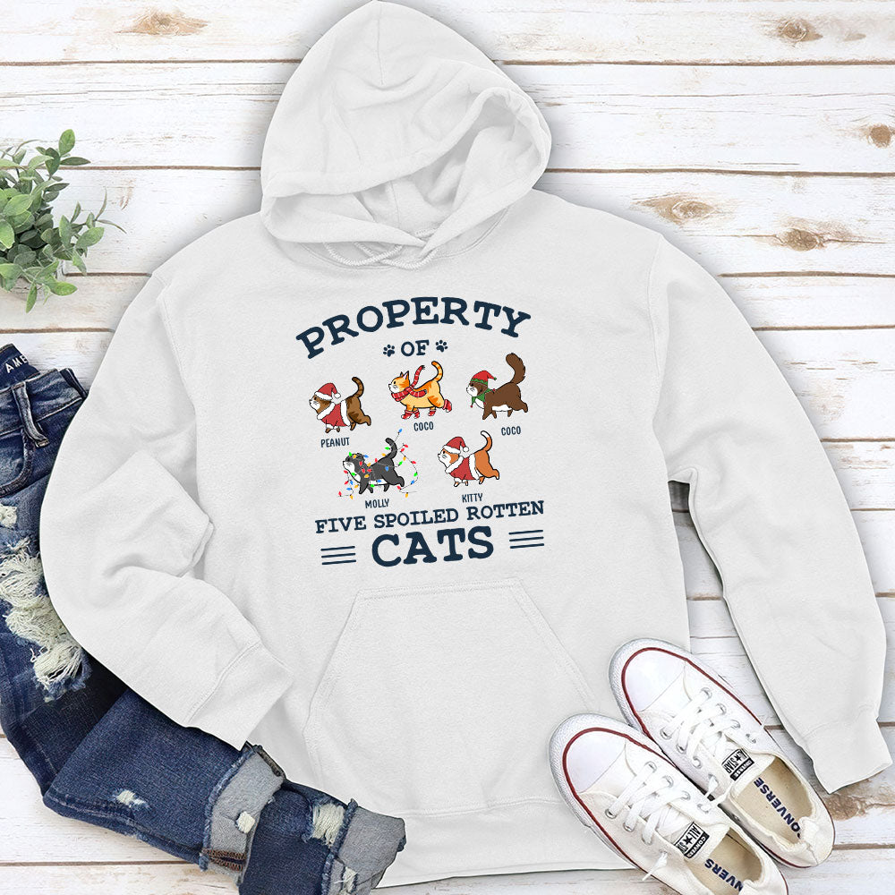 The Spoiled Rotten Cats – Personalized Custom Hoodie