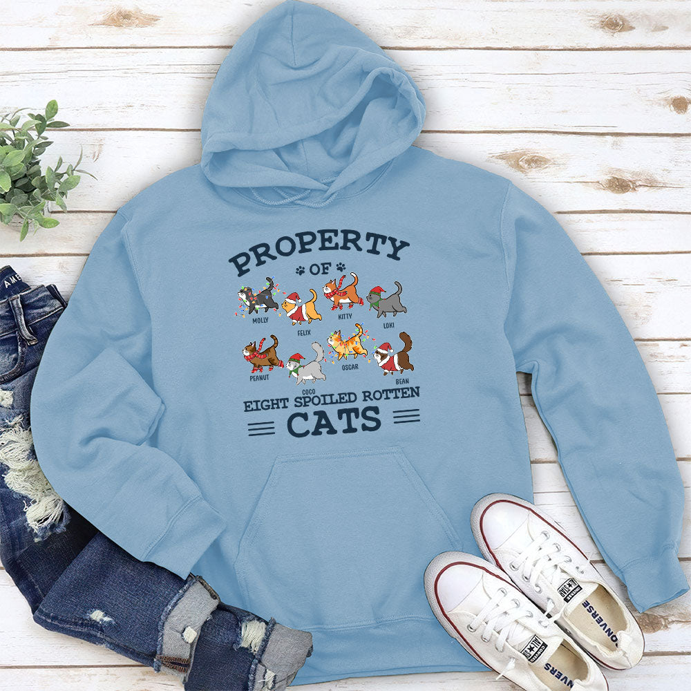 The Spoiled Rotten Cats – Personalized Custom Hoodie
