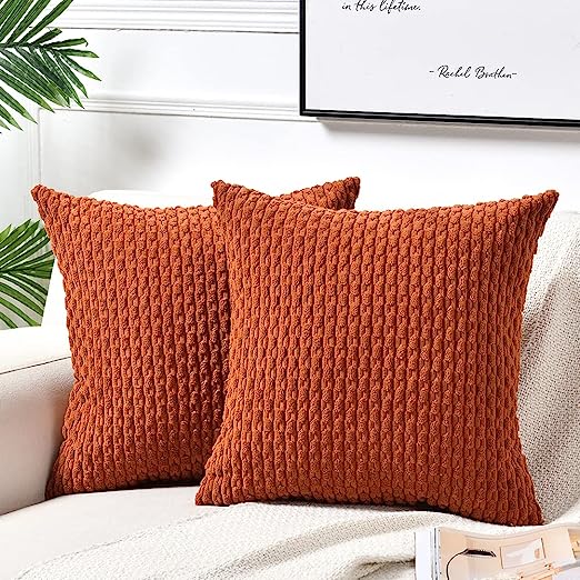 2 Packs Boho Cream Decorative Throw Pillow Covers 18x18 Inch for Couch Bed Sofa