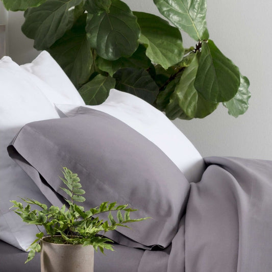 Essential Percale White Sham
