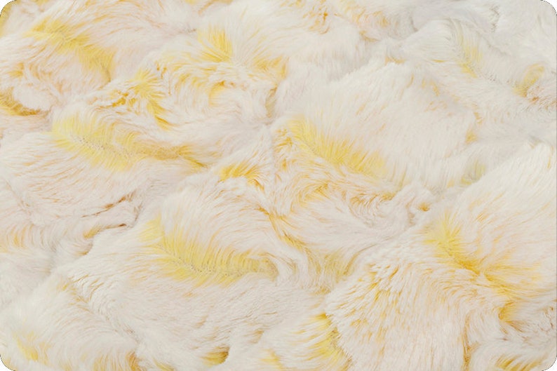 Snowy Owl / Buttercup