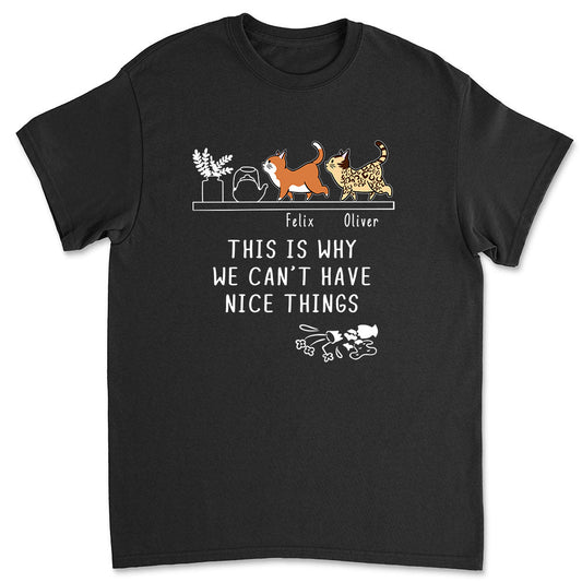 Why We Can't Have Nice Things - Personalized Custom Unisex T-shirt